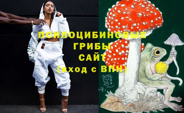 прущий лед Лиски